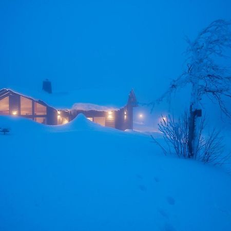 Beerenhaus Villa Altenberg Bagian luar foto
