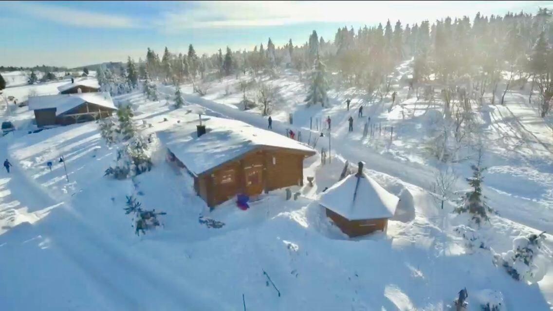 Beerenhaus Villa Altenberg Bagian luar foto