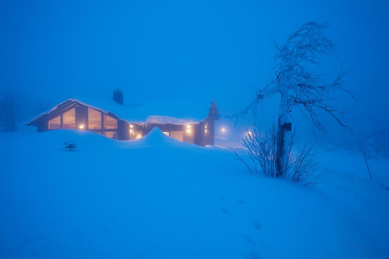 Beerenhaus Villa Altenberg Bagian luar foto