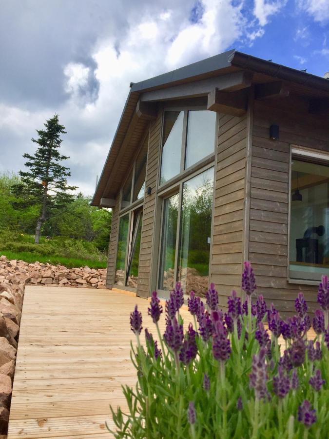 Beerenhaus Villa Altenberg Bagian luar foto